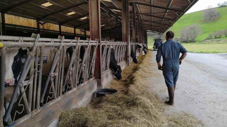 “It is out of the question to let our breeders down” faced with the consequences of the conflict, promises the government