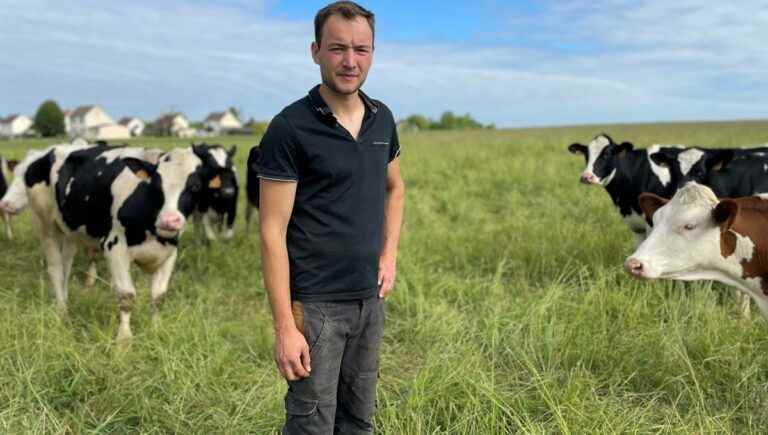 It’s the organic milk festival in the Grand Est