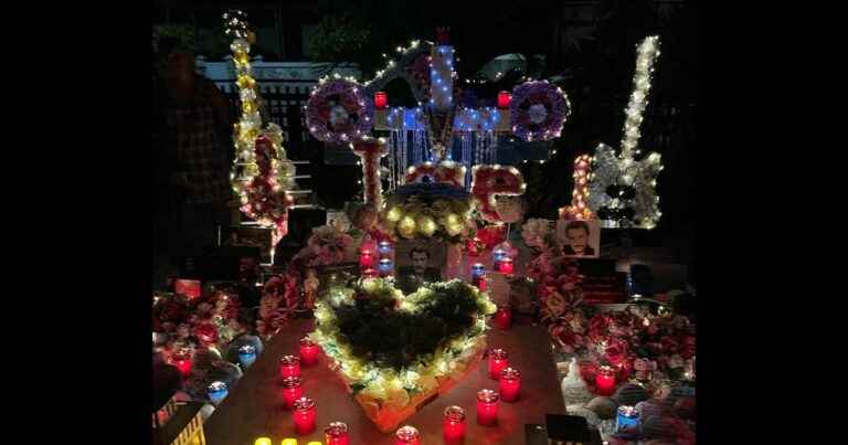 Johnny Hallyday: his fans celebrate his 79th birthday, his beautifully decorated grave