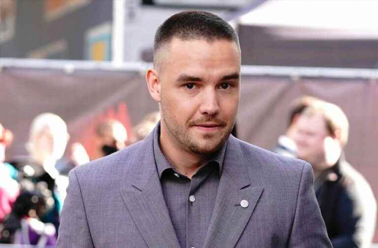 Liam Payne (One Direction) knocks out Zayn Malik and finally delivers his truth!  Comments that anger fans