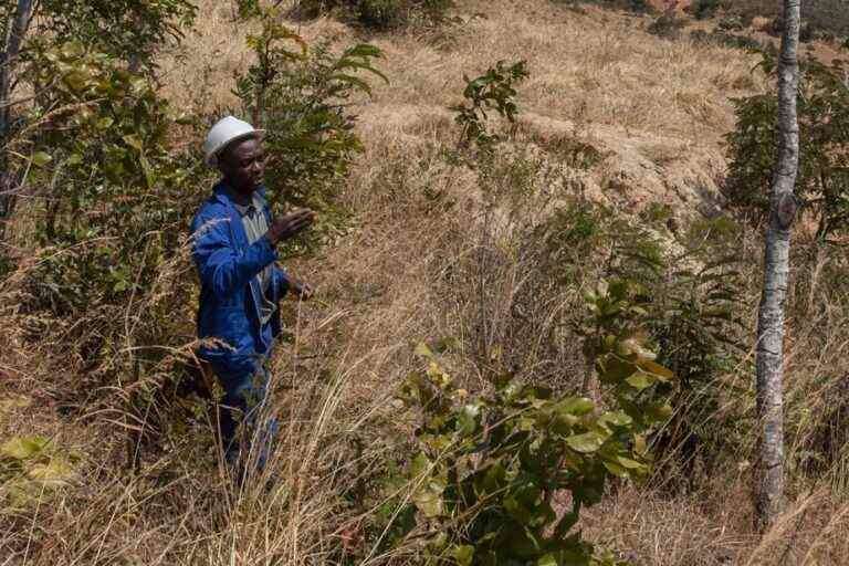 Malawi |  Power outage plunges entire country into darkness