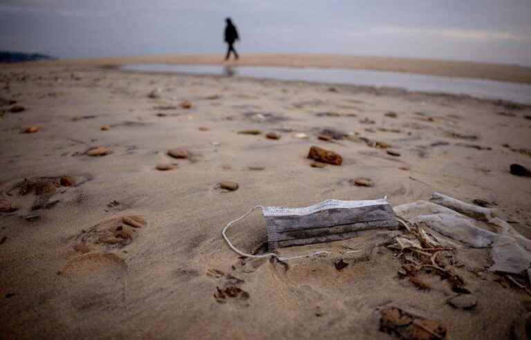 Masks continue to pollute our beaches