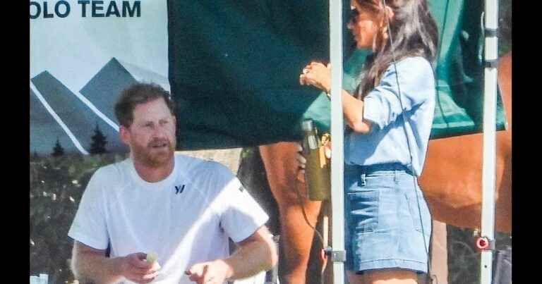 Meghan Markle: Relaxed supporter for Prince Harry, back to polo after the fall