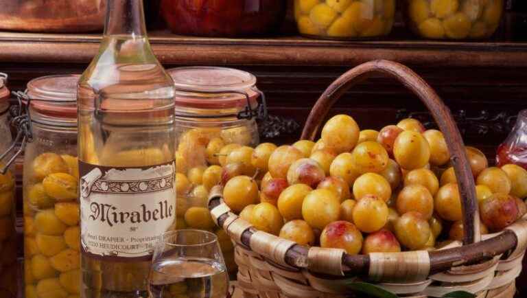 Mirabelle plums are from Lorraine