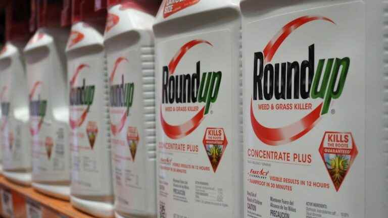 Monsanto finally condemned in the Roundup weedkiller case