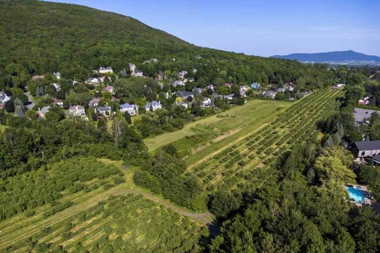 Mont-Saint-Hilaire |  Residents fear that the landscape will be spoiled