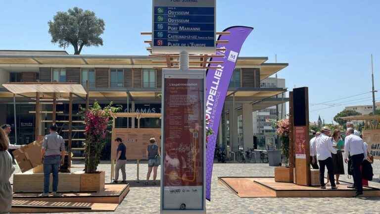 Montpellier will experiment with new bus shelters, called Terra