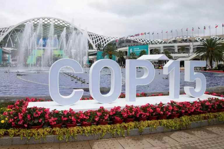 Montreal will host the second part of COP15 in December