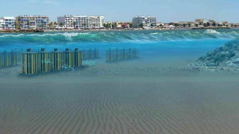 More environmentally friendly breakwaters to save beaches from erosion