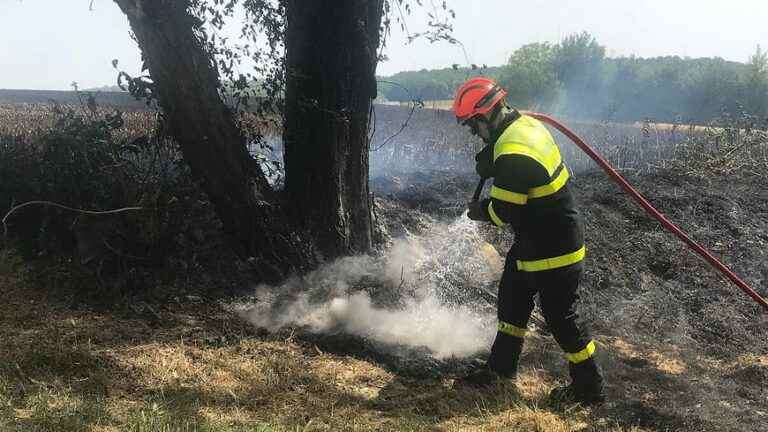 More than 21 hectares burned in less than 24 hours in Deux-Sèvres, fires still ongoing