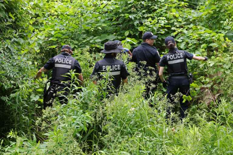 Murder of Meriem Boundaoui |  A wooded area searched for the murder weapon