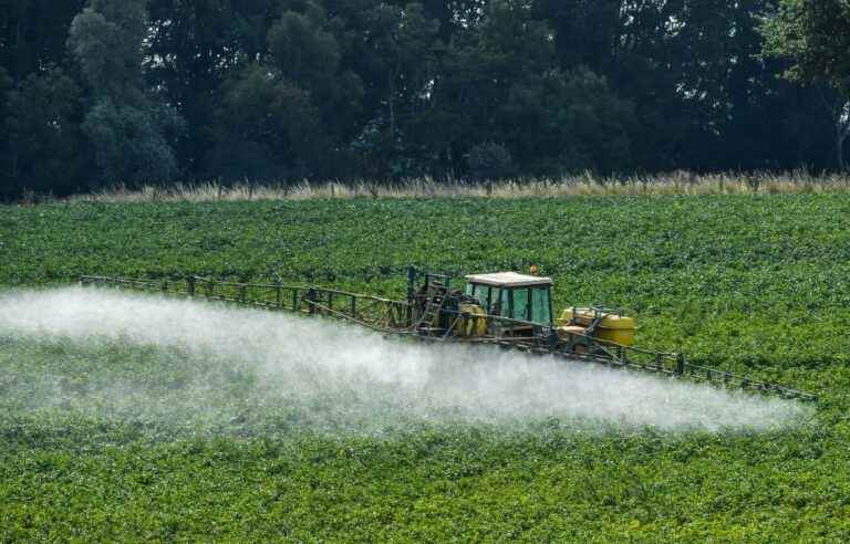 [Opinion] A real scientific evaluation of marketed pesticides is essential