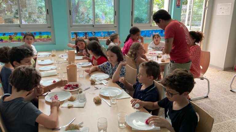 Organic, local… and good food in Montpellier’s school canteens