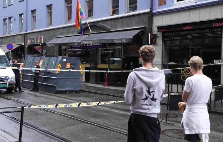 Oslo shooting suspect remanded in custody