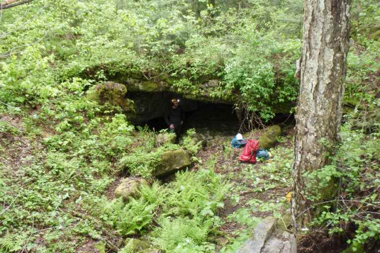 Outdoors |  Find a cave near you