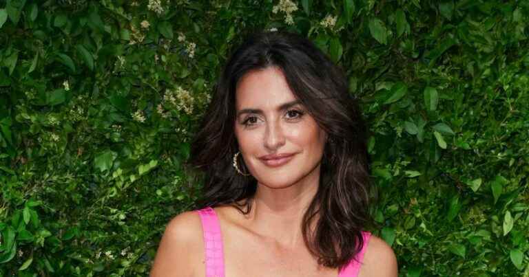 Penelope Cruz in Latin bombshell mode: caliente in a pink dress for a Chanel dinner