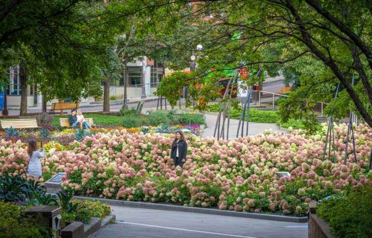 Police intervention in Quebec for being topless in the park