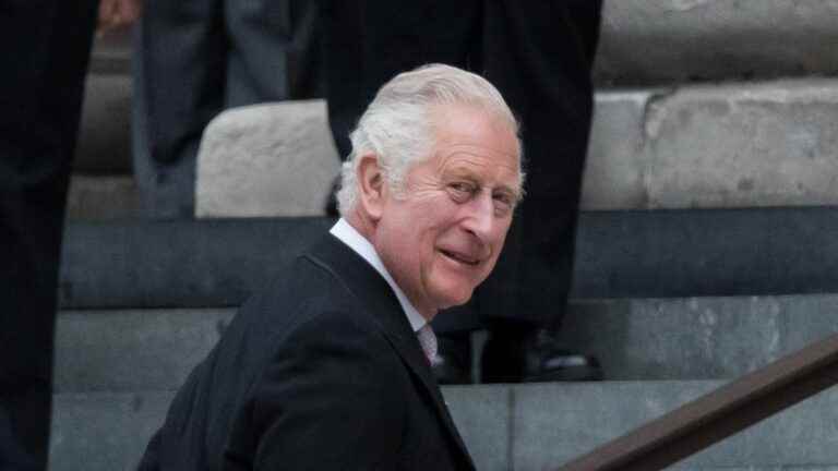 Prince Charles ‘appalled’ by deportation of migrants to Rwanda, according to press