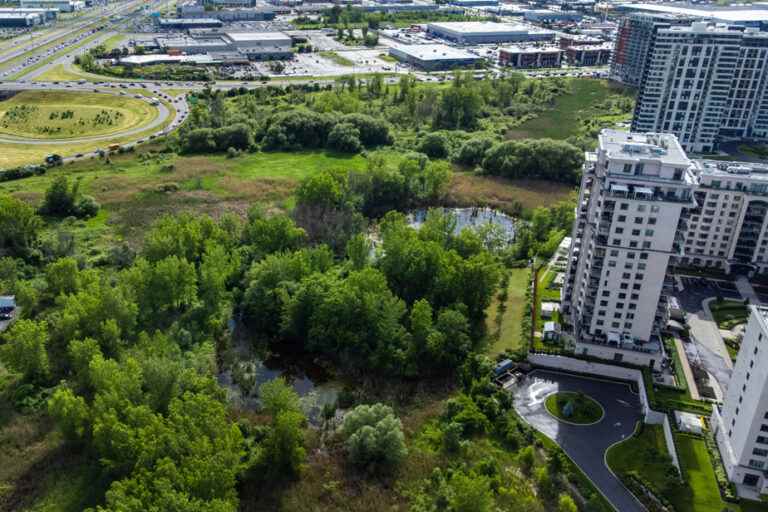 Protection of wetlands |  A new plan to turn things around in Laval