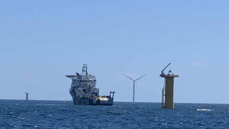 REPORTAGE.  The first wind farm at sea is gradually coming out of the water in Saint-Nazaire “a month in advance”