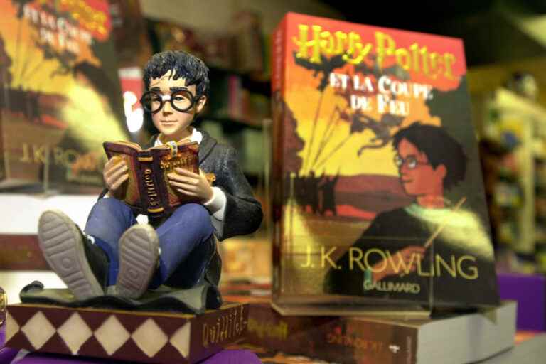 Record results for Harry Potter publisher