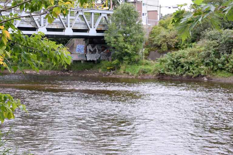 Rivière Saint-Charles in Quebec |  A woman’s body recovered