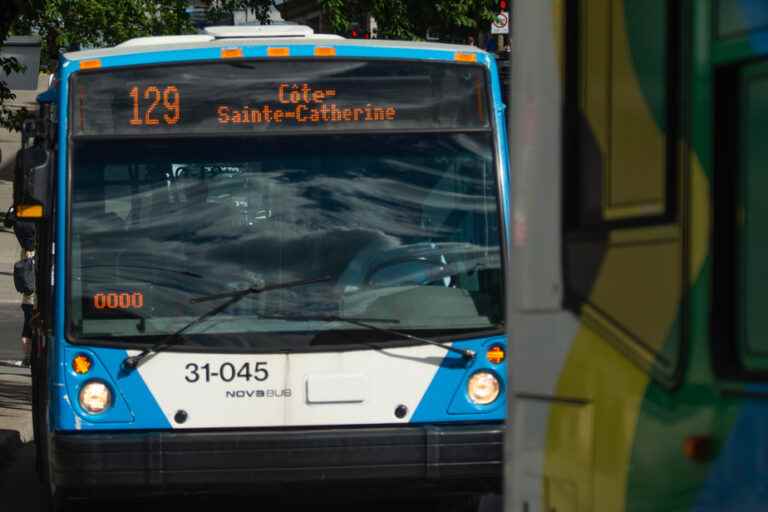 STM |  School transport will suffer from the lack of drivers