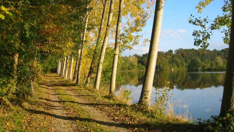 Saint-Loup-du-Gast is a charming village