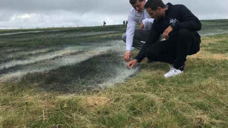 Saype’s monumental work flown over by the French patrol at the Ballon d’Alsace