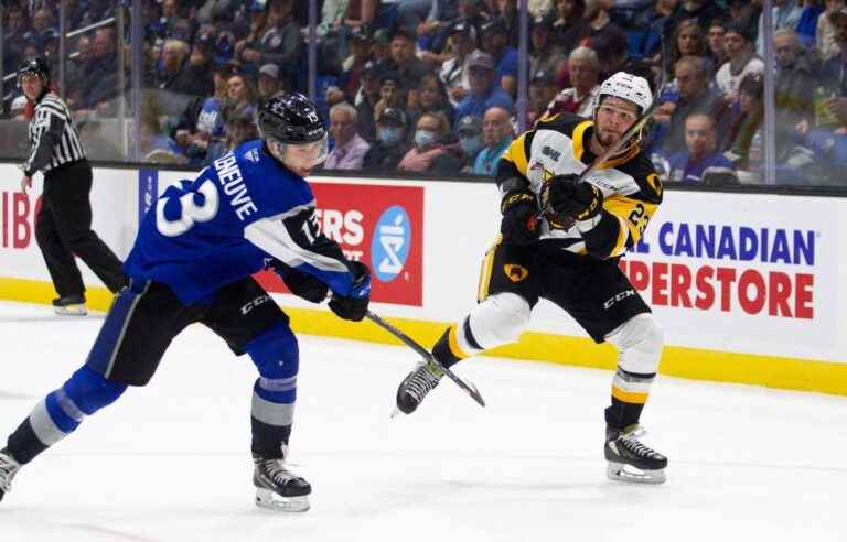 Sea Dogs beat Bulldogs 6-3 to win Memorial Cup