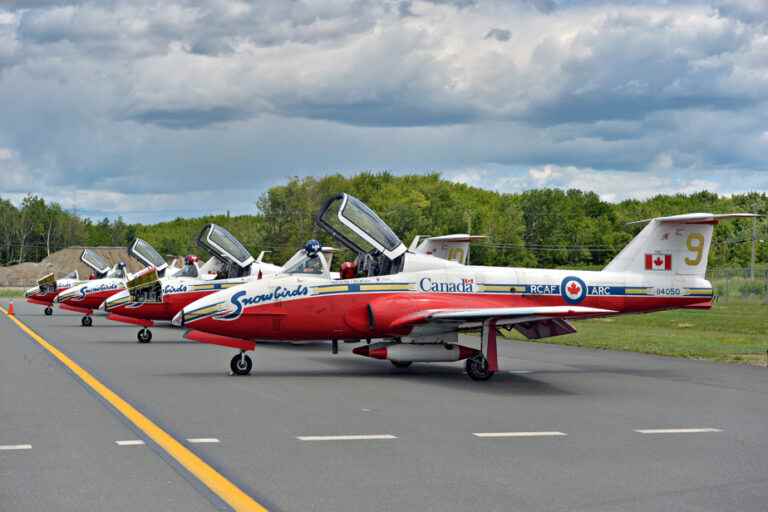 Snowbirds flypasts temporarily canceled