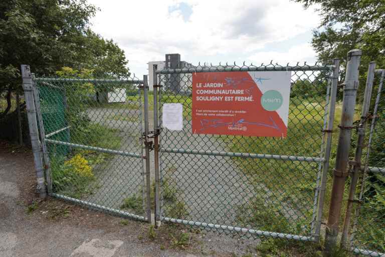 Tetreaultville |  The closure of a community garden arouses the ire of citizens