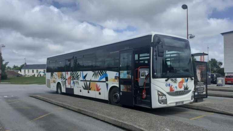 The Cap Cotentin network is opening three bus lines especially for this summer