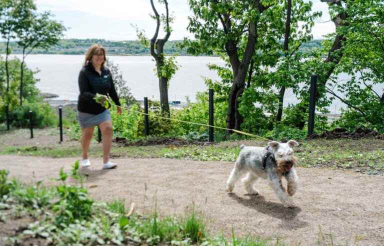 The Charcotte de Sillery trail soon ready