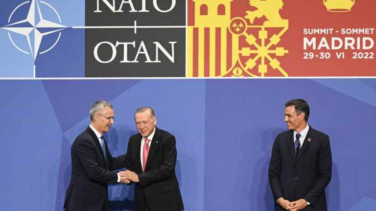 The Kurds, collateral victims of NATO enlargement