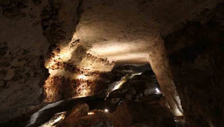 The dating of the engravings from the Bara-Bahau cave