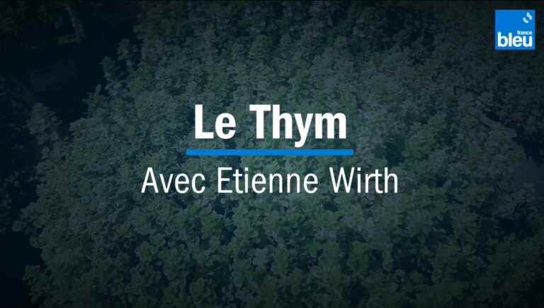 The different varieties of thyme with our expert Etienne Wirth