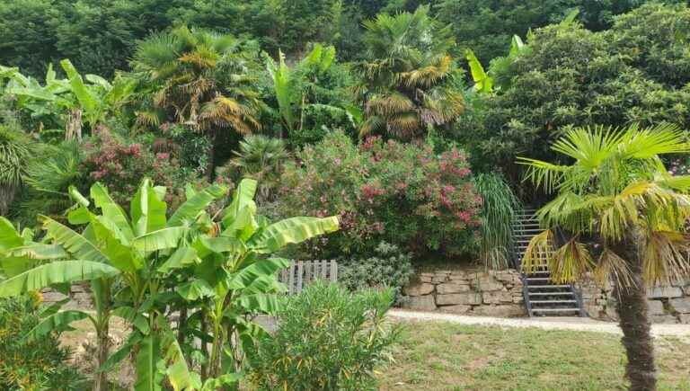 The exotic gardens of La Roque Gageac