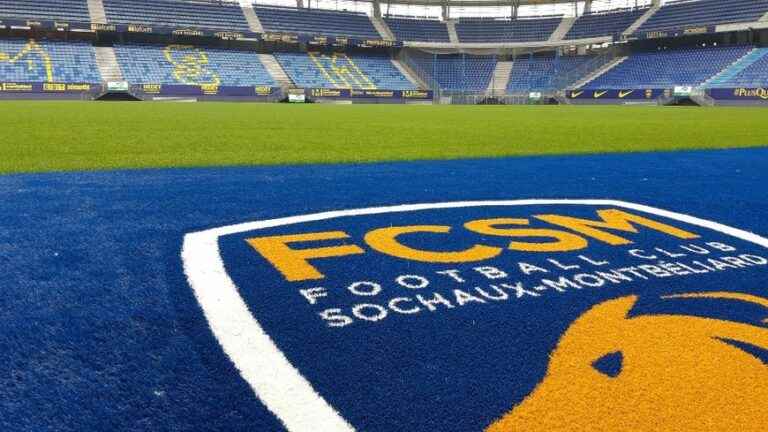 The general manager of FC Sochaux-Montbéliard sentenced for public insults