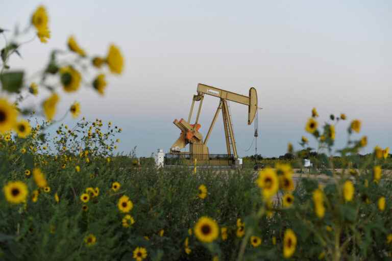 The idea of ​​an economic slowdown digested, oil starts to rise again