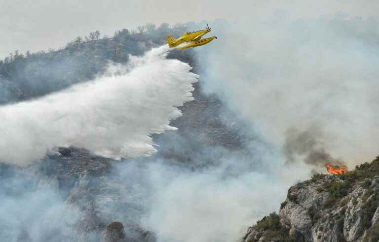 Thousands of hectares burned in Spain