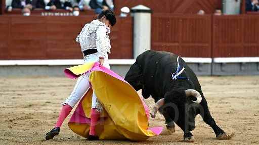 Toros in St Sever, masterful Luque!!!