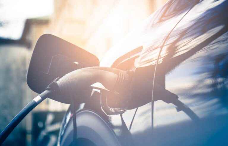 Transport electrification: making the transition a success