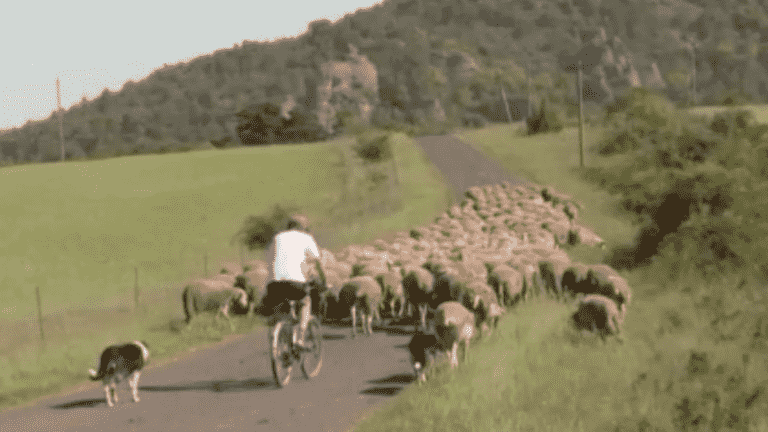 Transport: the countryside conquered by the bicycle