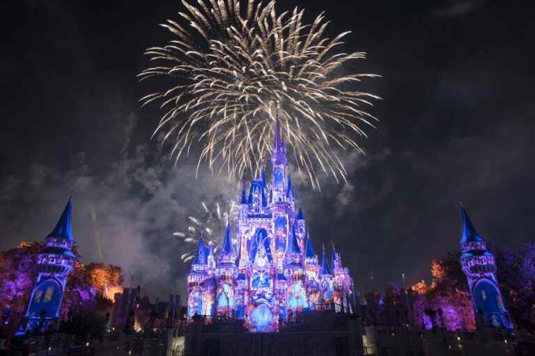 Twelve Disney parks by private jet for just… $110,000