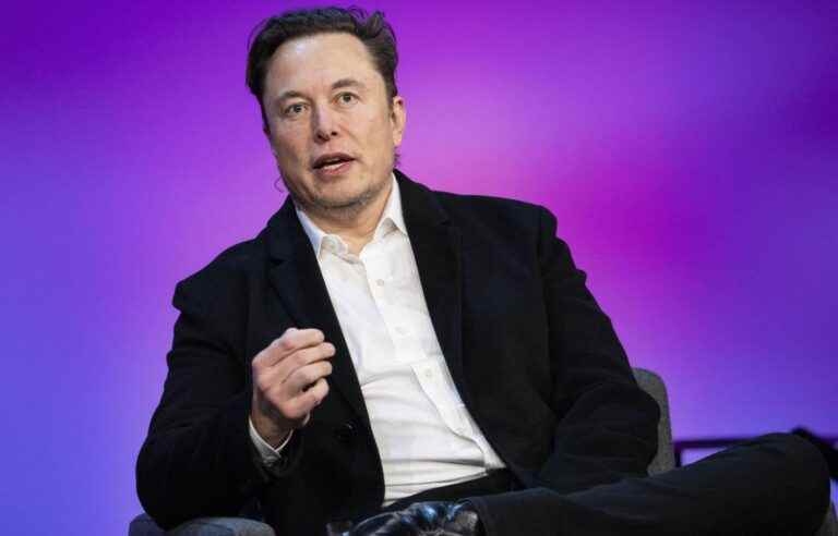 Twitter will provide data on fake accounts to Elon Musk