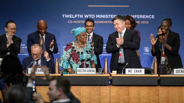 WTO led by Nigerian Ngozi Okonjo-Iweala adopts important texts for Africa