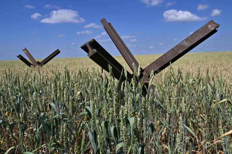 War in Ukraine |  “A quarter of its cultivable land” lost since the Russian invasion