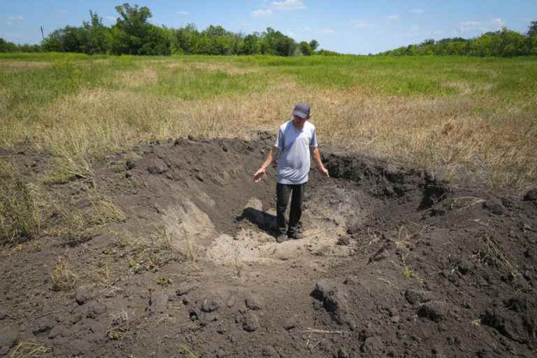 War in Ukraine |  Canada sent seeds to help farmers