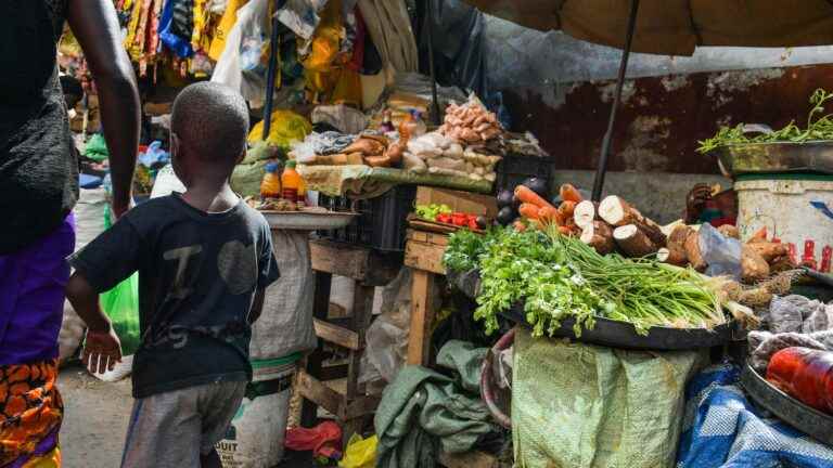 War in Ukraine, global warming, Covid-19… We explain the food crisis that worries West Africa